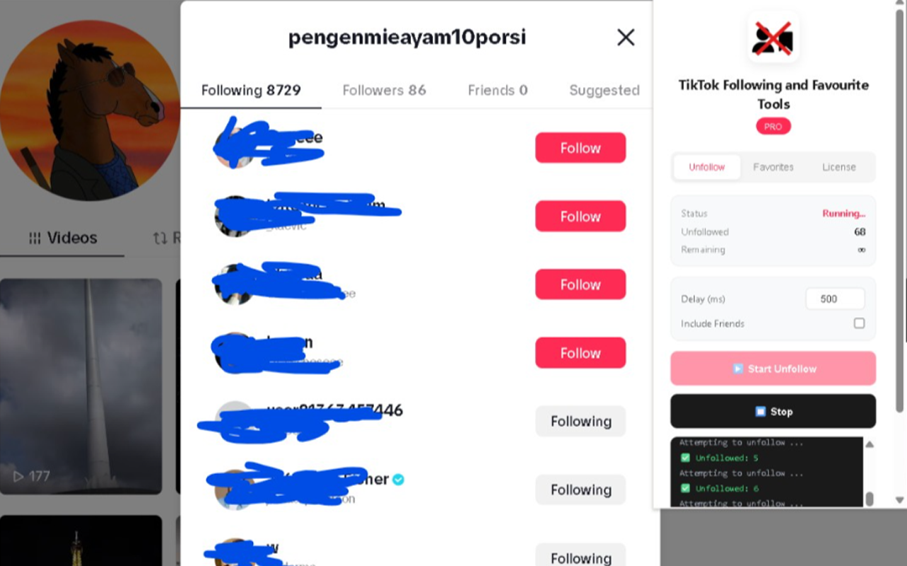 TikTok Remove Following Dashboard